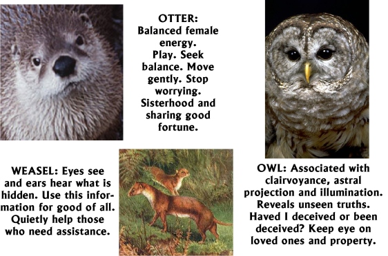 Otter Weasel Owl
